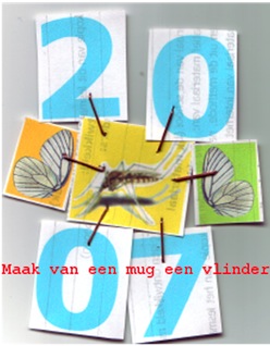maak van een mug een vlinder